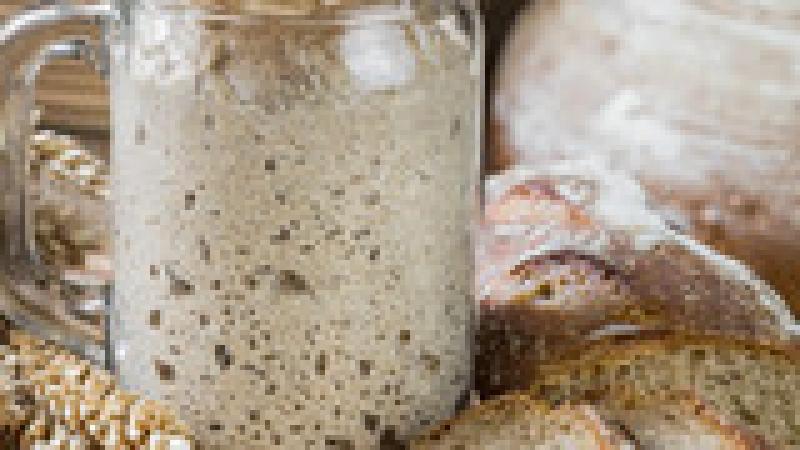 Sourdough