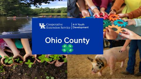 4-H Newsletter